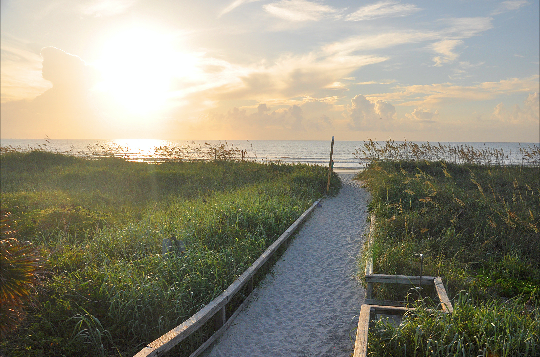 Discover the Trails of Florida's Space Coast